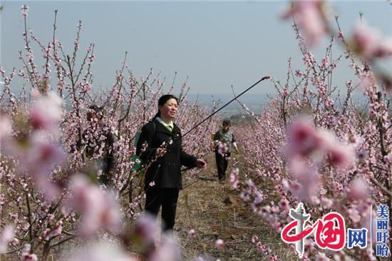 在荒山上繪畫  于環保中著文——訪全國人大代表、盱眙縣石馬山生態農業開發有限公司總經理李葉紅