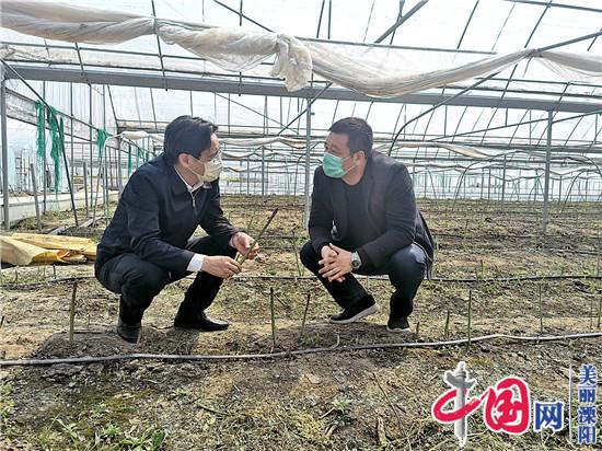 溧陽市領導以“四不兩直”方式調研農業農村工作