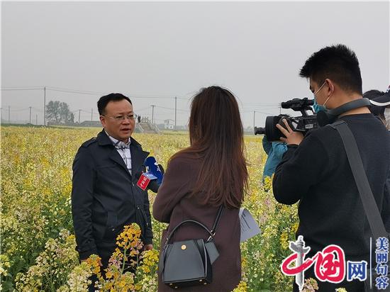 句容李家橋：昔日“孤島”變花海 “美麗產(chǎn)業(yè)”助增收