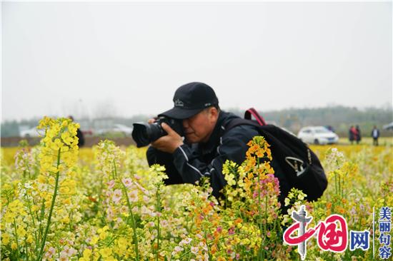 句容李家橋：昔日“孤島”變花海 “美麗產(chǎn)業(yè)”助增收