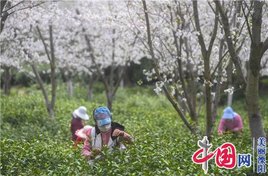 溧陽(yáng)市天目湖鎮(zhèn)：多措并舉 復(fù)工復(fù)產(chǎn)按下“快進(jìn)鍵”