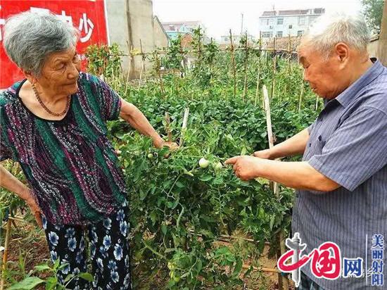 九旬老人不尋常 傳承家風好榜樣——射陽縣臨海鎮老黨員夏樹培傳承好家風