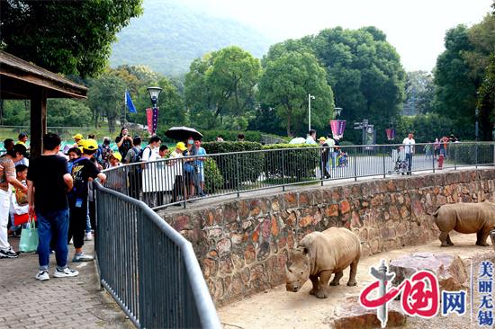 開園周年慶 與愛同行——特教學校走進無錫動物園