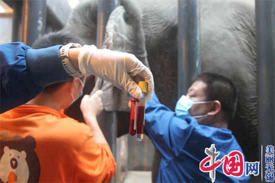 無錫動物園動物秋季大體檢