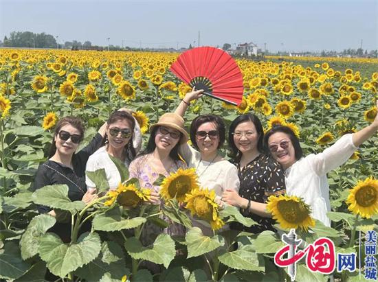 鹽城鹽都區花吉村：千畝葵園太陽花 美麗花海打卡地