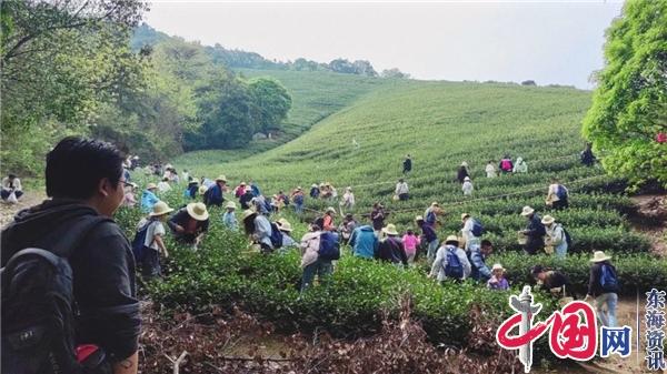 清明假期剛過 宜興丁蜀鎮(zhèn)旅游“熱力”十足