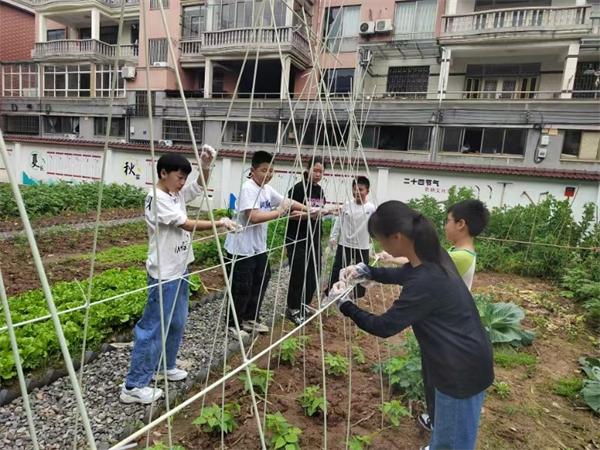 播種太空種子 體驗(yàn)勞作樂(lè)趣