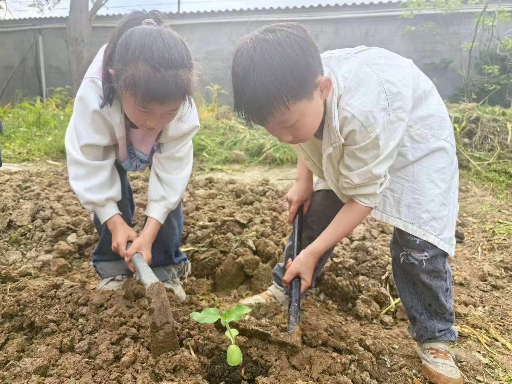 浙江省東陽市南馬鎮安恬小學：乘“雙減”之風 育向陽之花