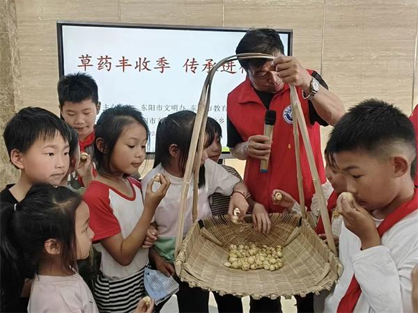 東陽市東陽江鎮中心小學：草藥豐收季 傳承進行時