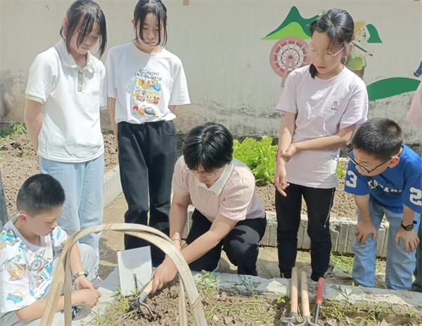 東陽市東陽江鎮中心小學：草藥豐收季 傳承進行時