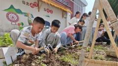 東陽市東陽江鎮中心小學：草藥豐收季 傳承進行時