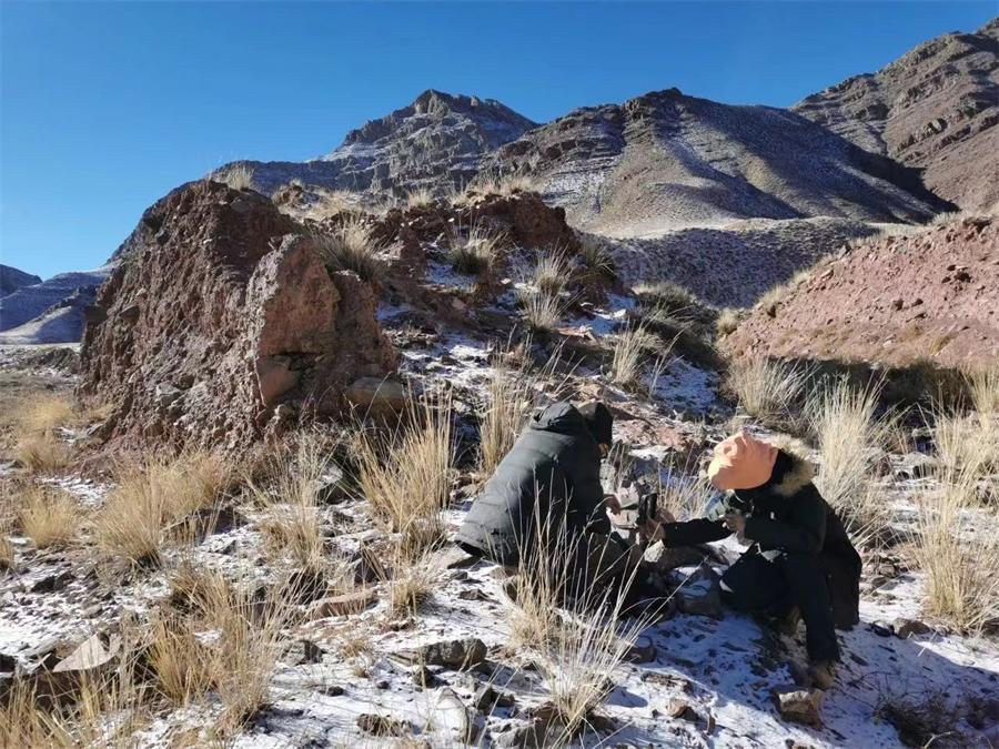 中國綠化基金會“雪豹守護行動”項目成就綜述