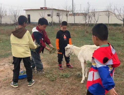 “探自然之秘，享勞動之趣”——鄂托克旗烏仁都西幼兒園種植實踐活動