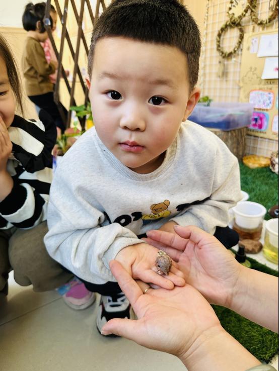 鄂托克旗棋盤井第四幼兒園：與你“蟹”逅